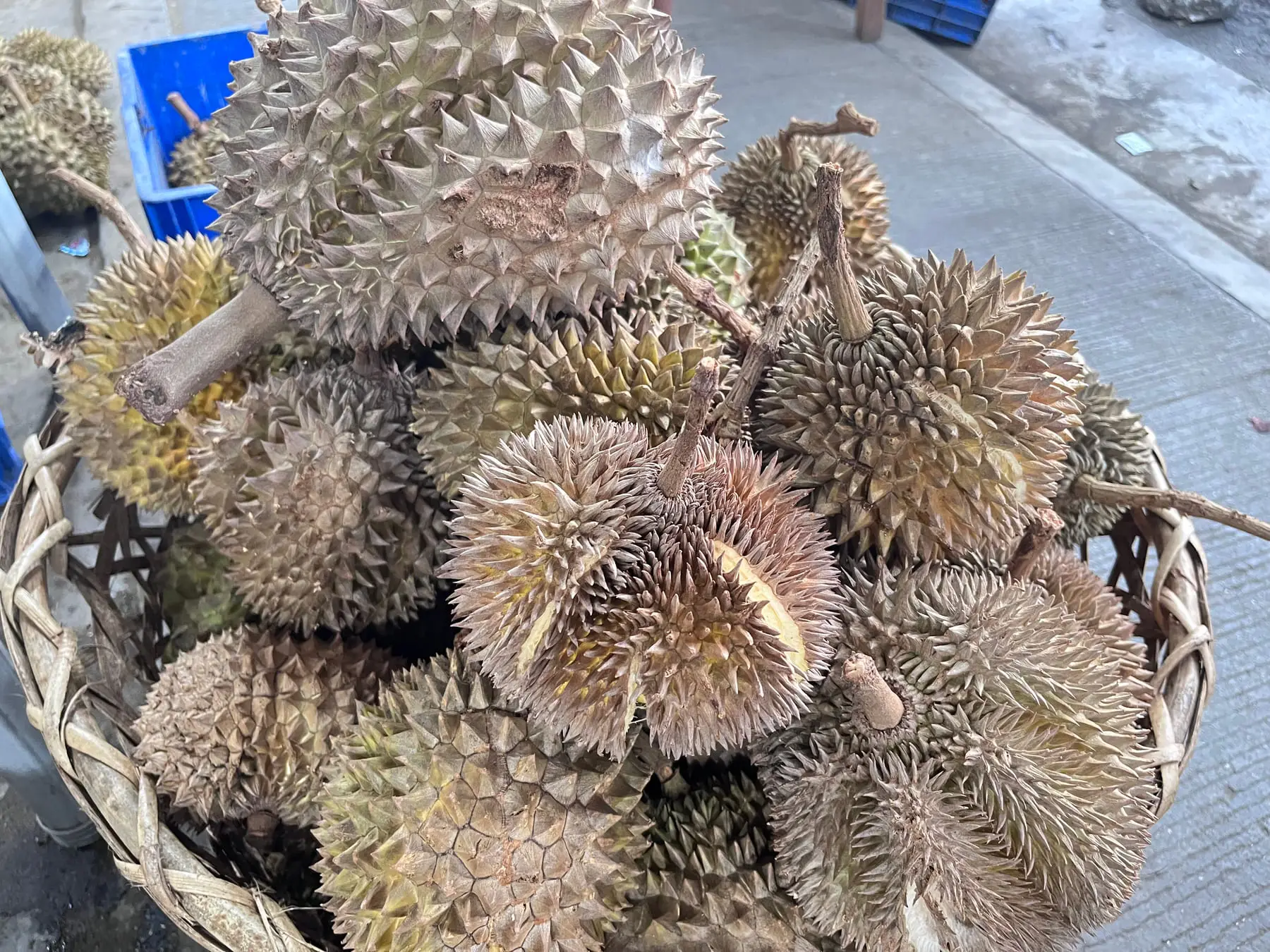 Durian