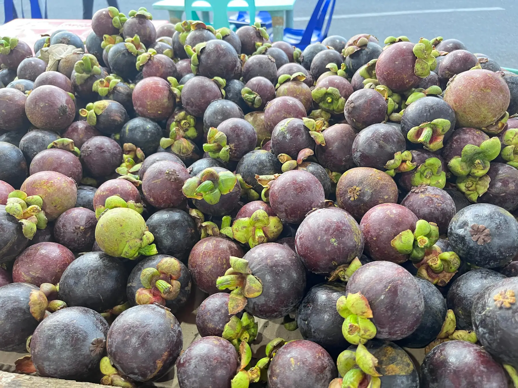 Mangosteen, marang and pomelo
