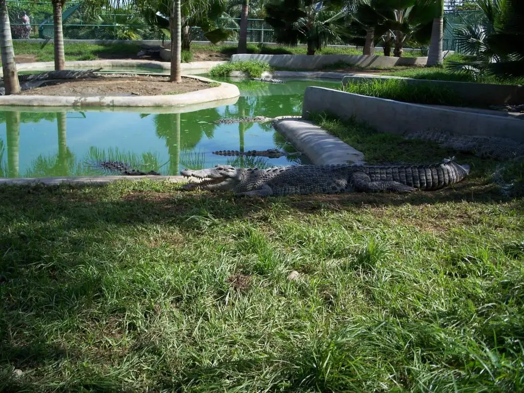 Walkways and grounds inside Davao Crocodile Park